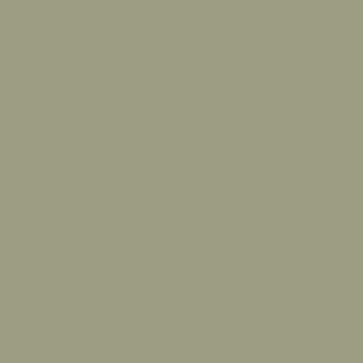 Tafisa Sage Leaf.jpeg