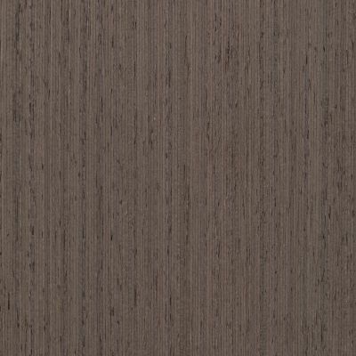 norelco-Grey Obechie.jpg