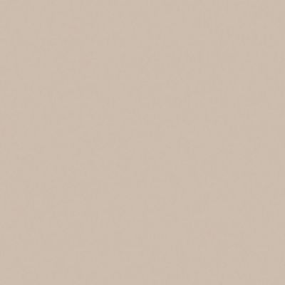 Finsa Gris Sauve Nude.jpeg