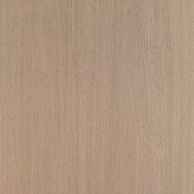 Shinnoki Desert Oak.jpeg